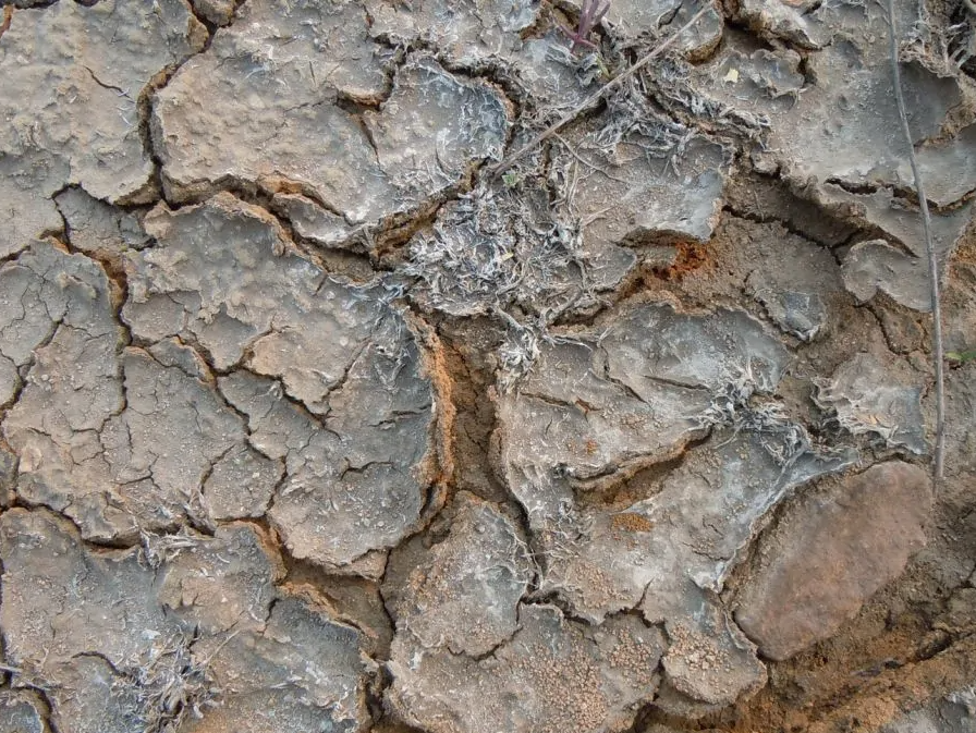 高盐废水生化系统如何稳定运行？