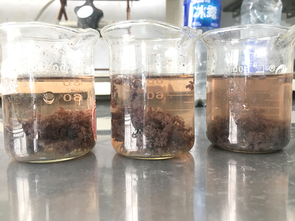 PAM是否会对设备造成腐蚀或堵塞？