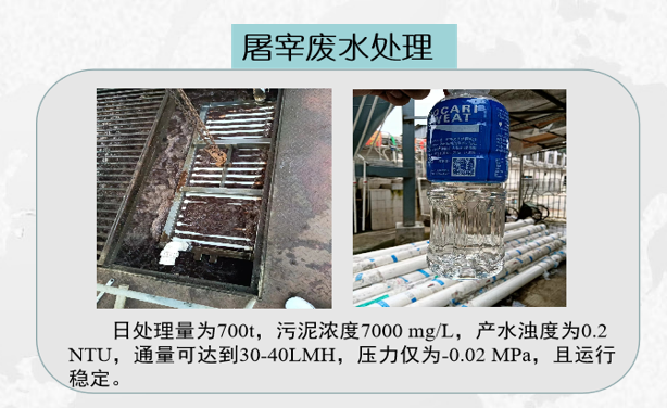 MBR膜在屠宰废水的应用？